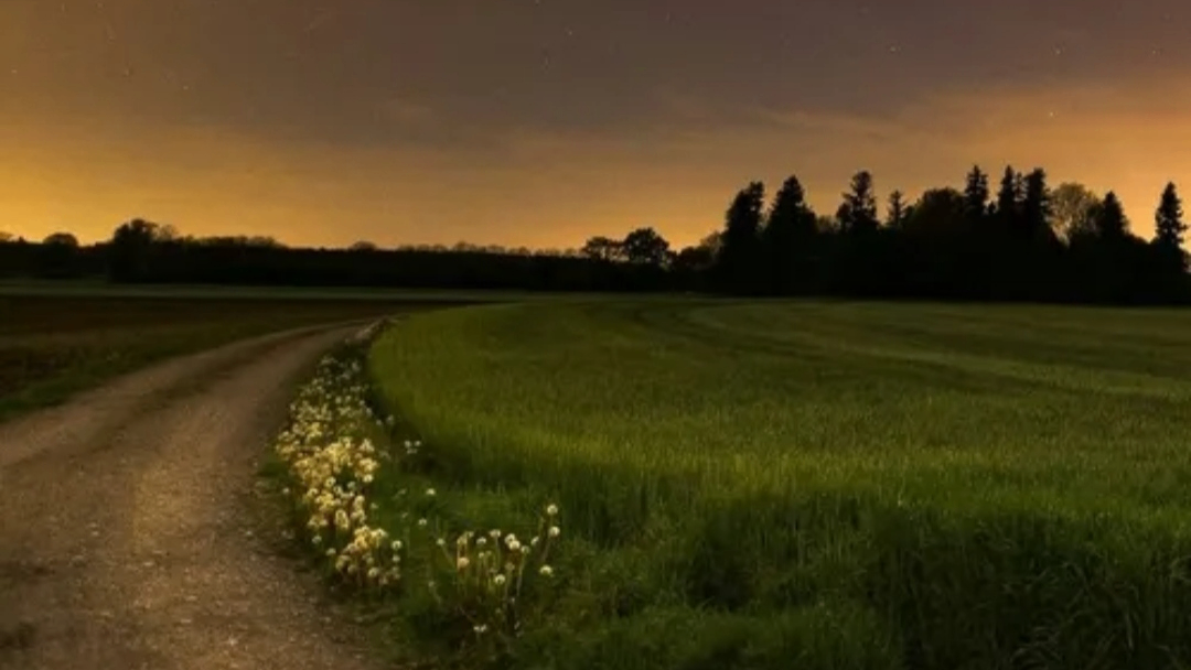 عکس نجواهای شبانه🌙💫