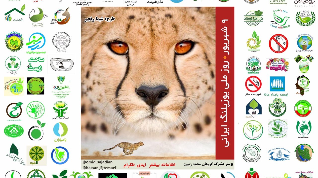 عکس پوستر مشترک انجمن های محیط زیستی با همکاری قرار سبز - روز ملی یوزپلنگ