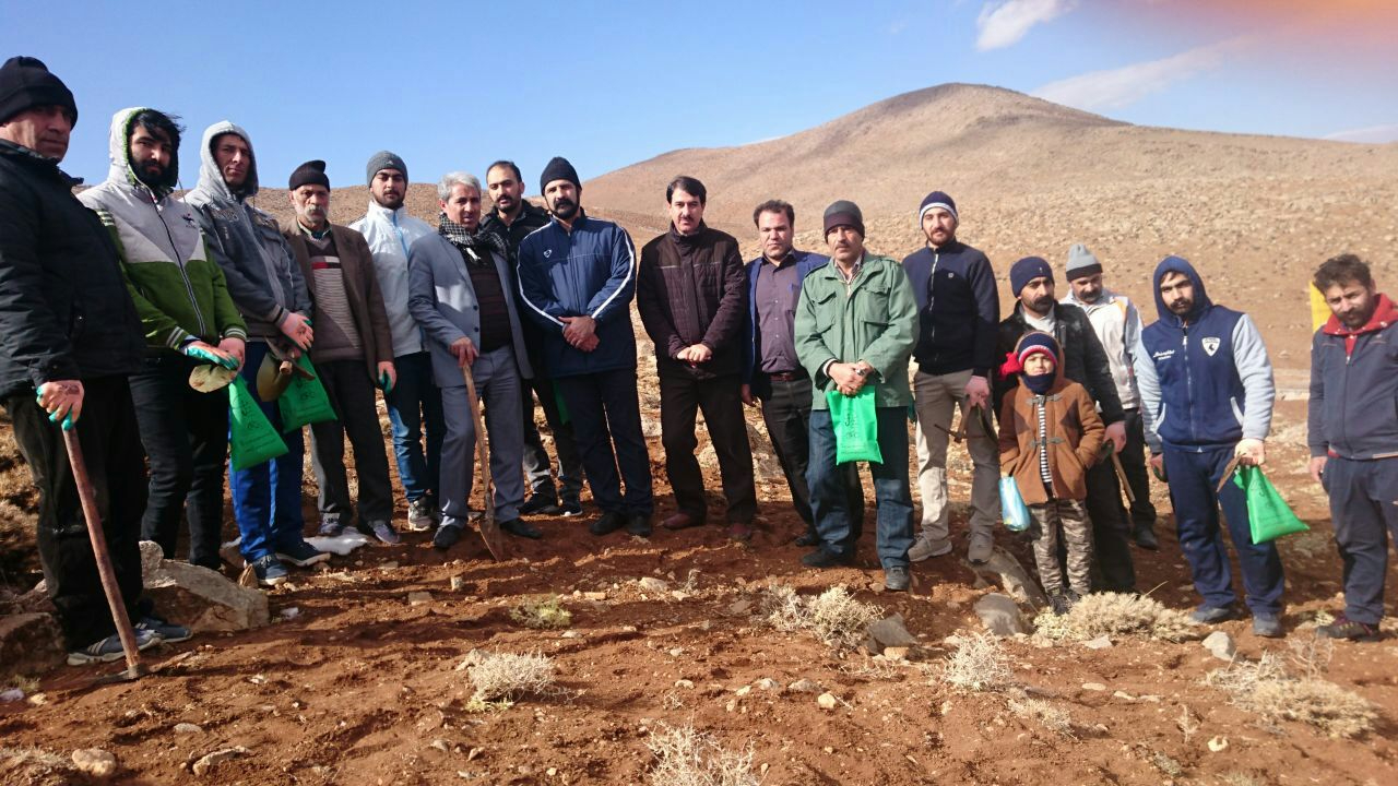 عکس بلوط